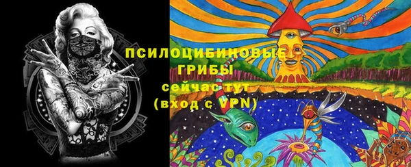 прущий лед Михайлов