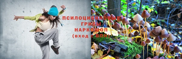 бутират Горно-Алтайск